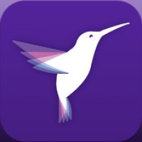 Flixel