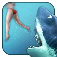 Hungry Shark