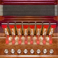 Zydaccordion - Cajun/Zydeco One-Row Accordion