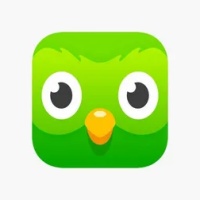 duolingo 4.0.2