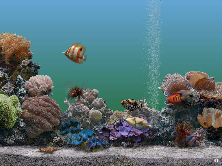 Marine Aquarium