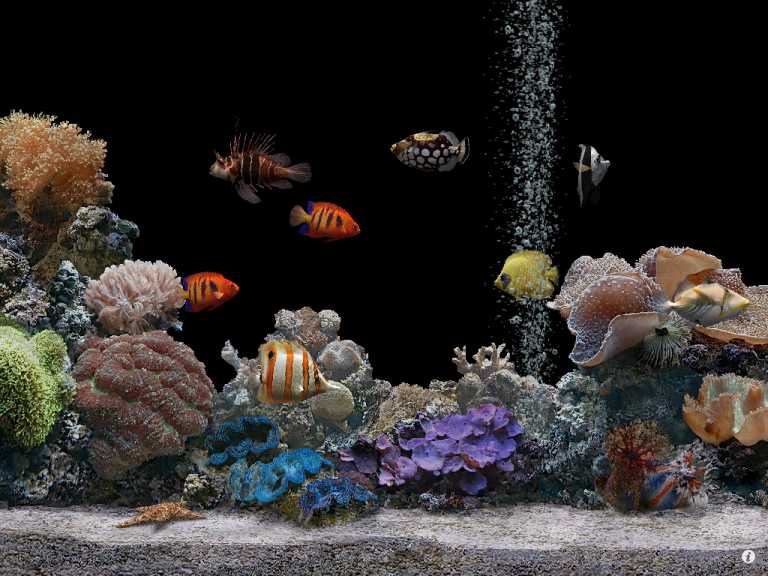 Marine Aquarium