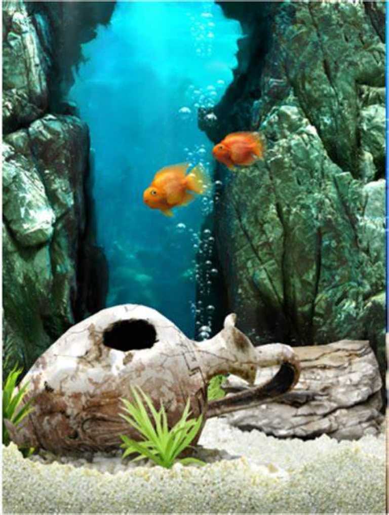 iQuarium HD