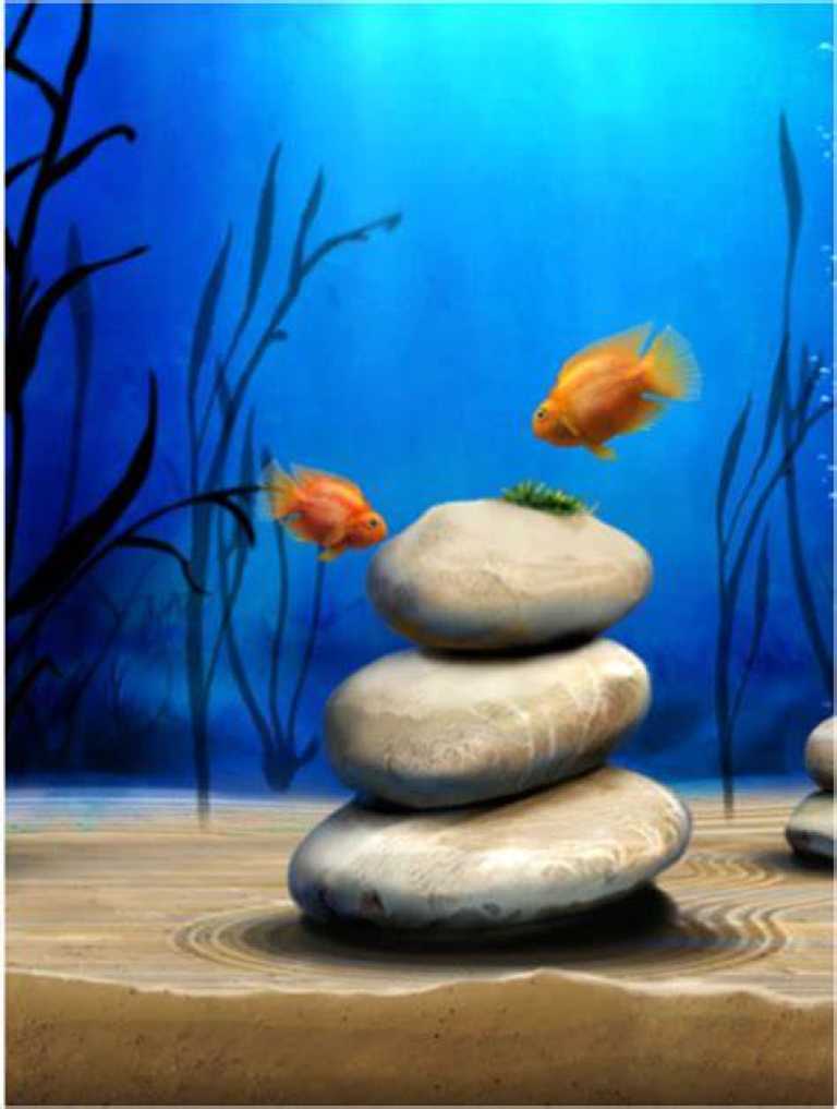 iQuarium HD