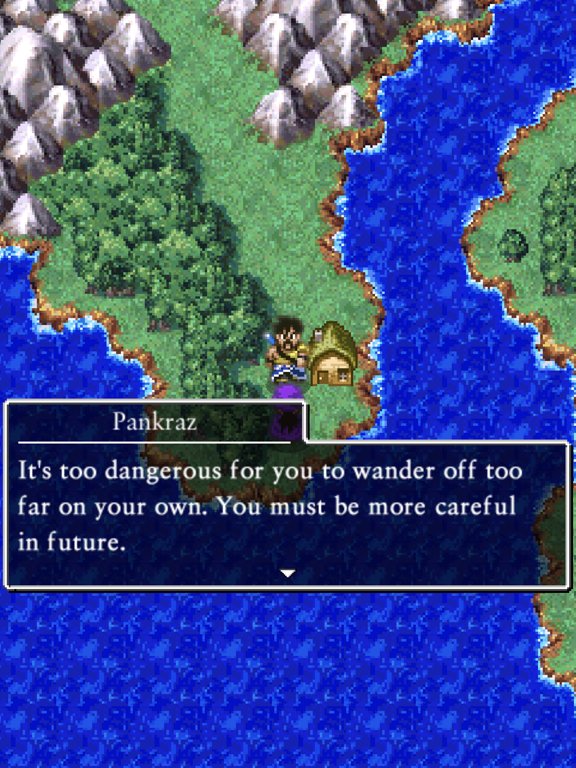 DQ5