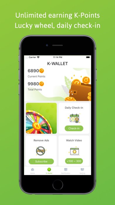 Kiwi VPN