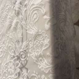 Pliscaivan@gmail.com