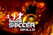 Sensible Soccer Skills