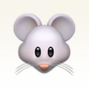 dany_ale
