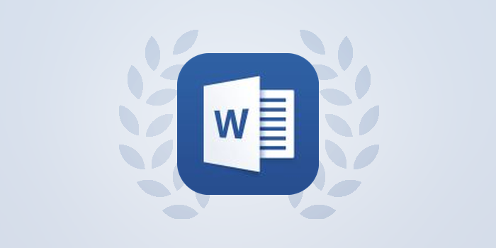 Microsoft Word