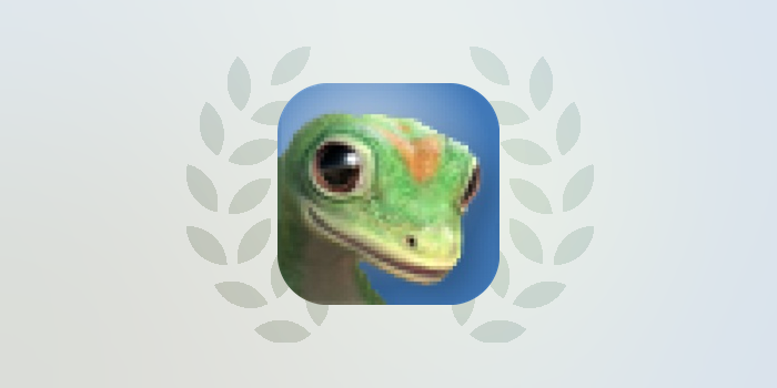GEICO