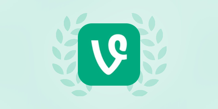 Vine