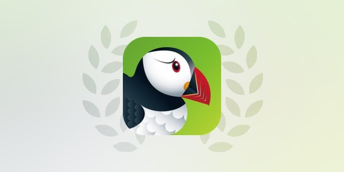 Puffin