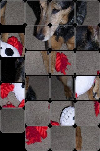 15 Puzzle