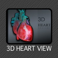 3D Heart View