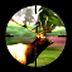 3D Hunting Trophy Whitetail Free