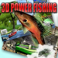 3D P.FISH