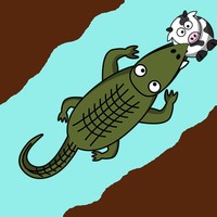 Alligator Food