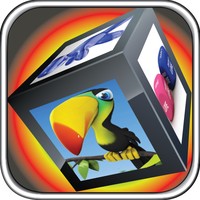 Amazing 3D Wallpapers