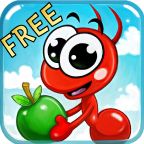 Amazing Ants