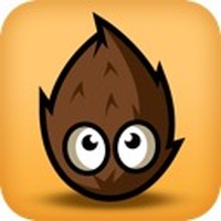 Amazing Coin (USD) Learning