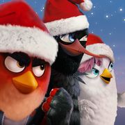 Angry Birds Evolution