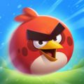Angry Birds Under Pigstruction