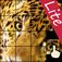 Animal Puzzle Lite (Play & Learn)