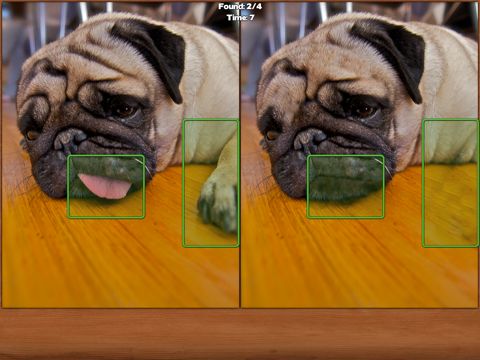 Animals Spot the Difference