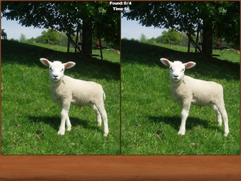 Animals Spot the Difference