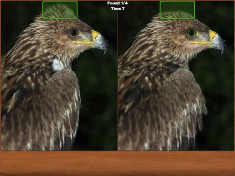 Animals Spot the Difference