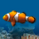 Marine Aquarium