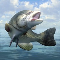 BassFishing