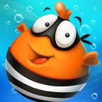 Bellyfish