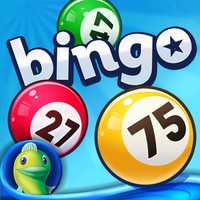 Bingo