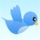 Bluebird