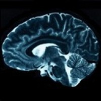 BrainWave: 37 Binaural Series™