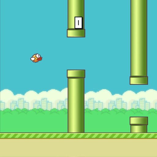 Brave Bird Flap Again