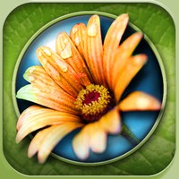 Bug Frenzy - Flower Defense