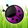 Bug Landing