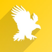 CS:GO Insider
