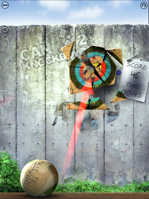 Can Knockdown 2