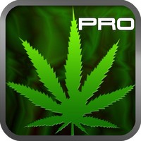 Cannabis News Pro