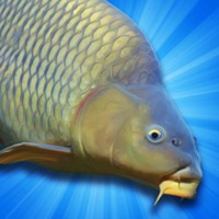 Carp Fish Sim