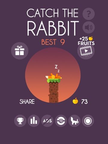 Catch The Rabbit