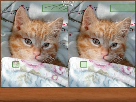 Cats Spot the Difference