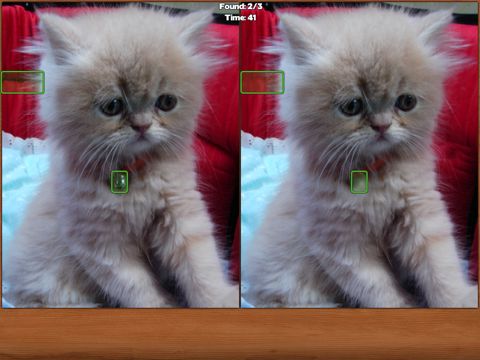 Cats Spot the Difference