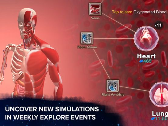 Cell to Singularity: Evolution