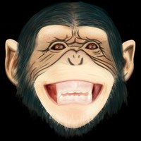 Chimp