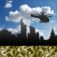 City Bomber